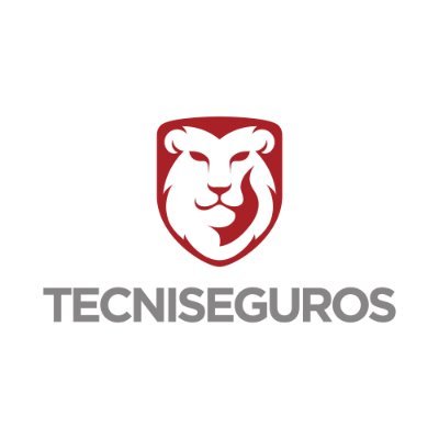 TECNISEGUROS