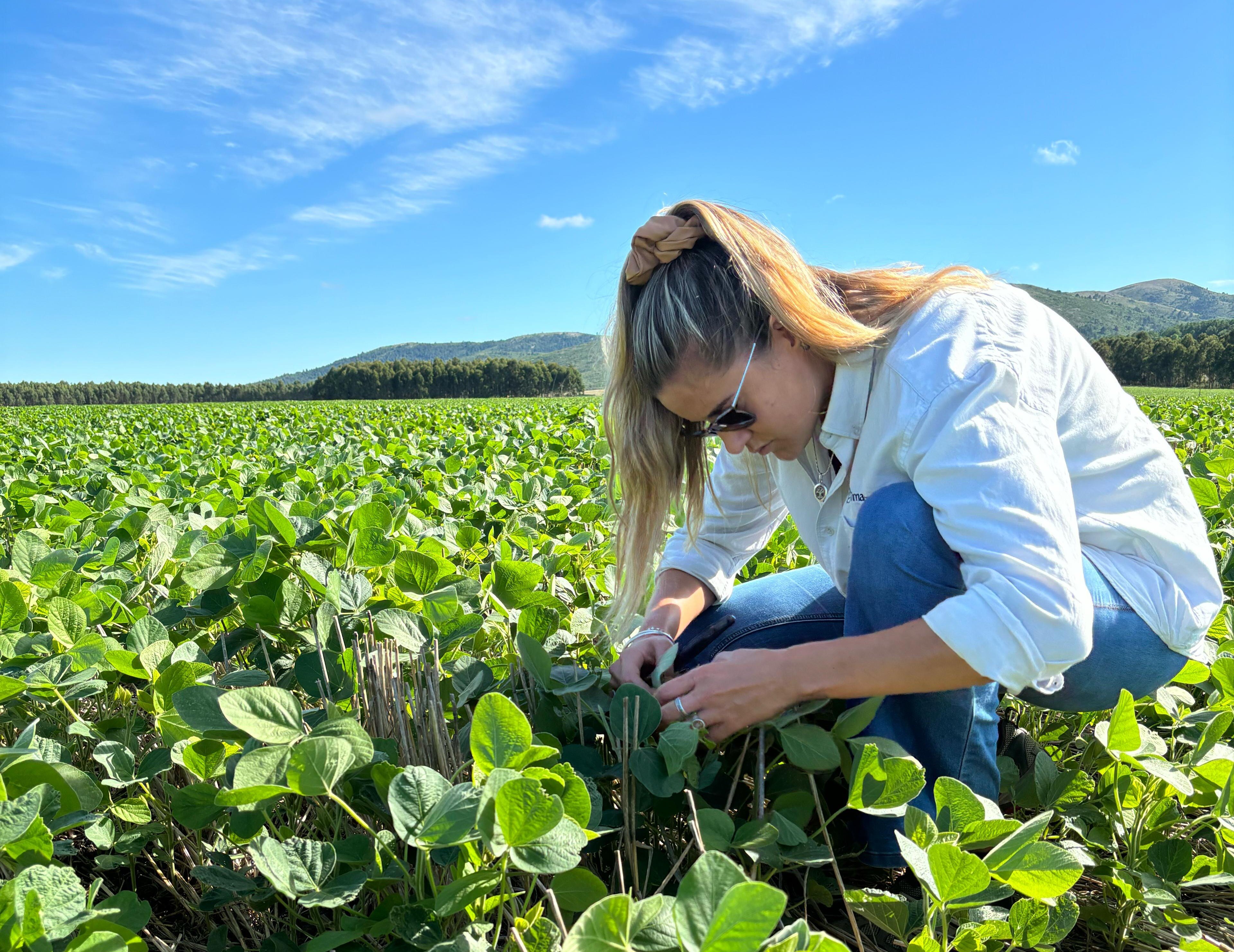 TIMAC AGRO_UY1_UY_67ebfc43f87f472055bd6920_2